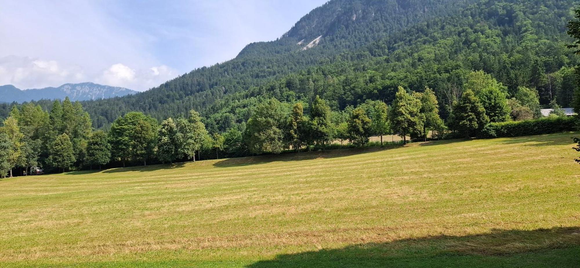 Ferienwohnungen Schloss Wasserleonburg Nötsch Oda fotoğraf