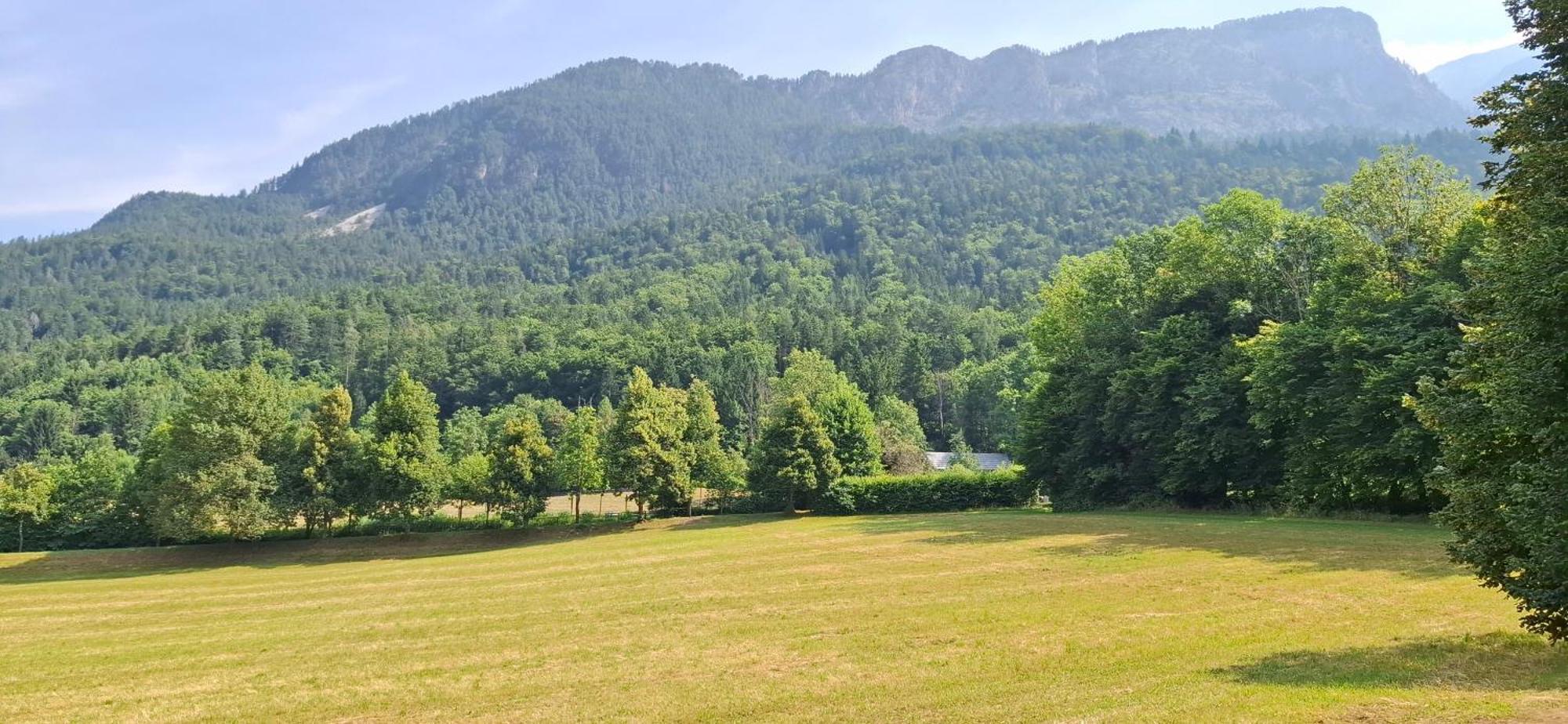 Ferienwohnungen Schloss Wasserleonburg Nötsch Oda fotoğraf