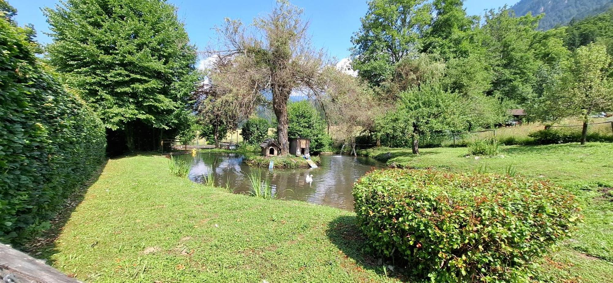Ferienwohnungen Schloss Wasserleonburg Nötsch Dış mekan fotoğraf